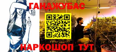 шишки Конаково