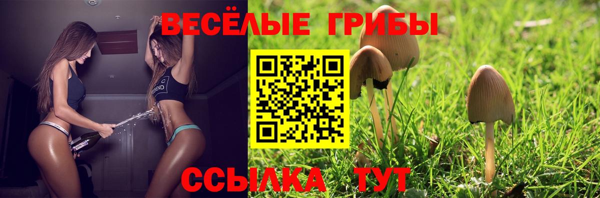 Галлюциногенные грибы Cubensis  как найти закладки  Усть-Джегута  Галлюциногенные грибы MAGIC MUSHROOMS  Вход с VPN 