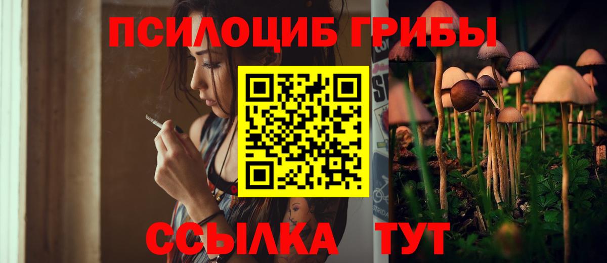 Галлюциногенные грибы мицелий Усть-Джегута